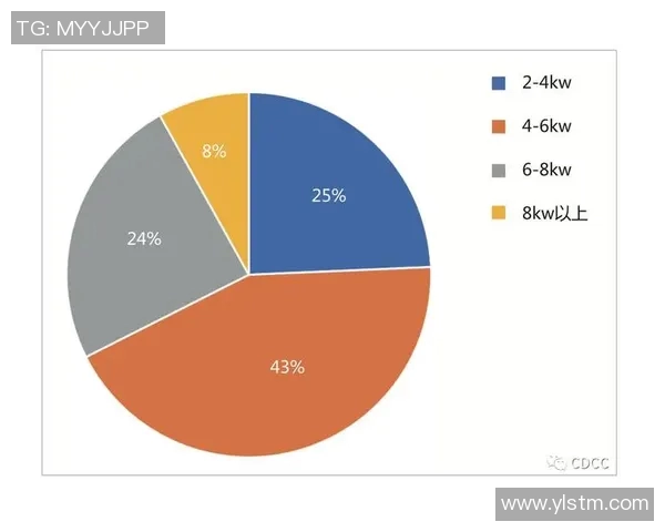 南京乒乓球队技术表现数据分析与提升策略探讨