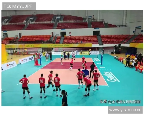 南京排球队在全国排球耐力排行榜中荣获第五名展现出强大实力与潜力