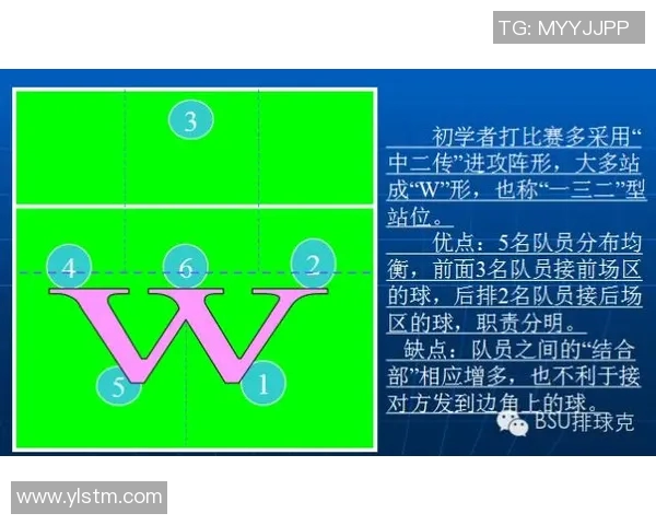 成都排球队力量对比深度解析与战术优势剖析 成都排球队力量对比深度解析与战术优势剖析