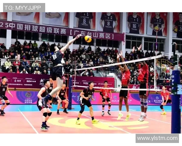 排球巨献:深入分析重庆排球队心理素质与竞技表现的关系 排球巨献:深入分析重庆排球队心理素质与竞技表现的关系