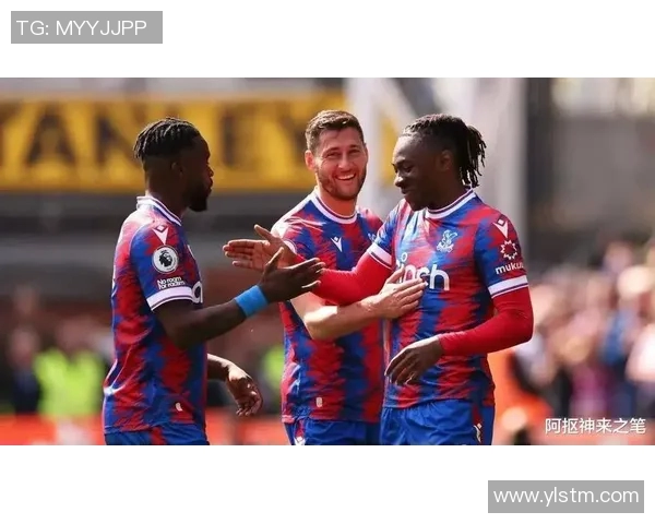 水晶宫迎战加的夫城争夺英冠联赛关键三分的激烈对决