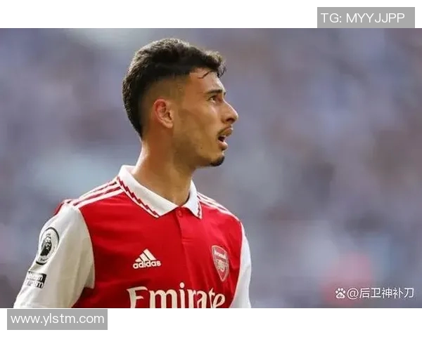 马丁内利的崛起之路：从青涩小将到足坛新星的传奇故事