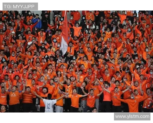 班戈城与灵球队精彩对决赛果揭晓引发球迷热议