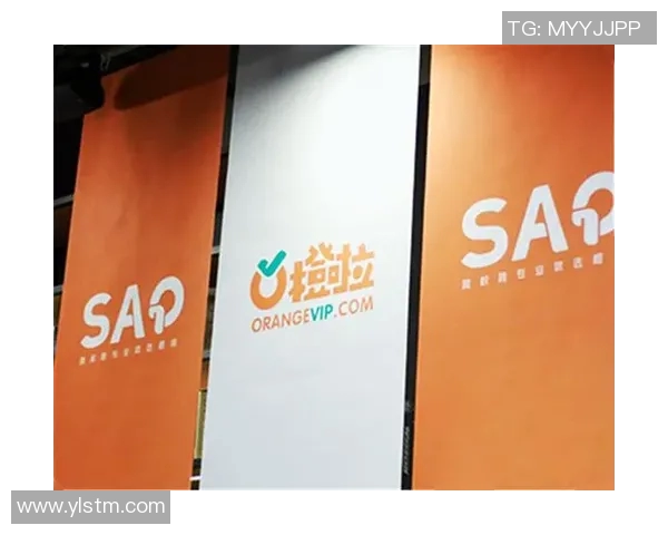 诺瓦VS7最新价格分析及市场竞争情况探讨