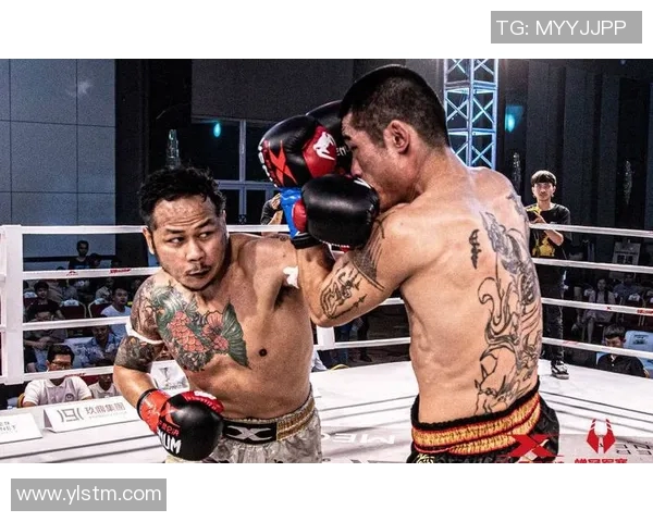 雅桑克莱与考的巅峰对决谁将成为拳坛新王者