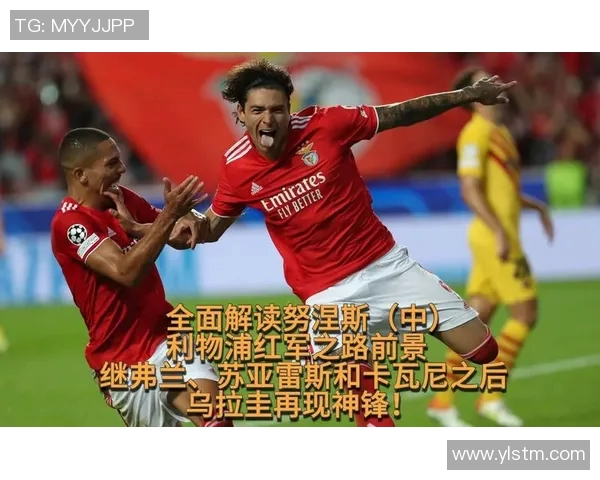 努涅斯的崛起与挑战：从新星到顶级前锋的奋斗之路