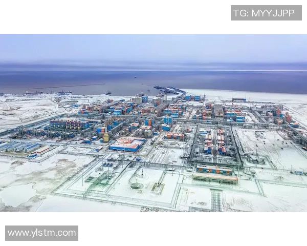 亚马尔地区的能源战略与全球气候变化的应对措施探讨