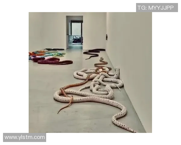 加莱诺的艺术世界探索与文化交融之旅