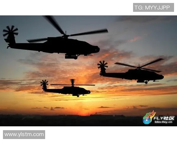 伏尔加格勒旋翼对决解析:战术运用与技术优势的全面比较