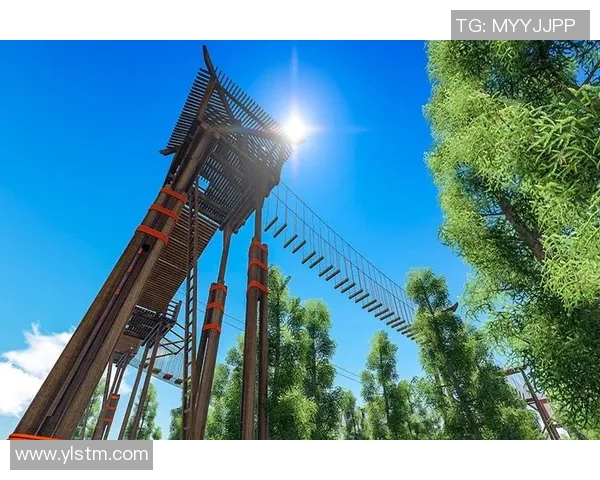 攀岩人生的探索与坚持：杨秀英的深度对话与心路历程