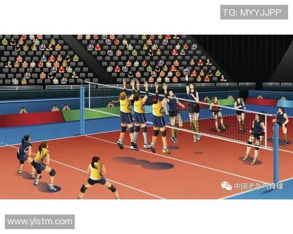 深圳排球队的战术解析与控制体系构建探讨