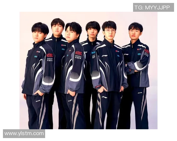 聚焦英雄联盟BLG战队技术分析与战术探讨的深度研究MBA