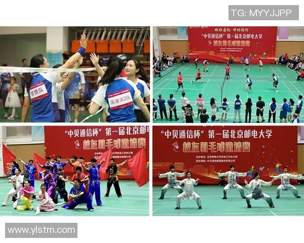 西安羽毛球队奋勇拼搏的背后故事与锦标赛精彩瞬间回顾