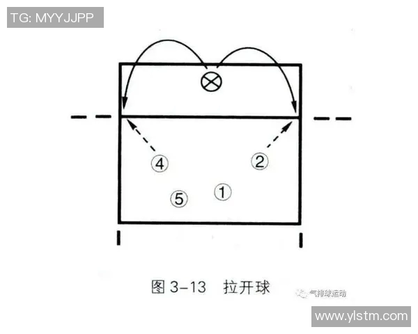 上海乒乓球队快攻战术解析与实战应用探讨